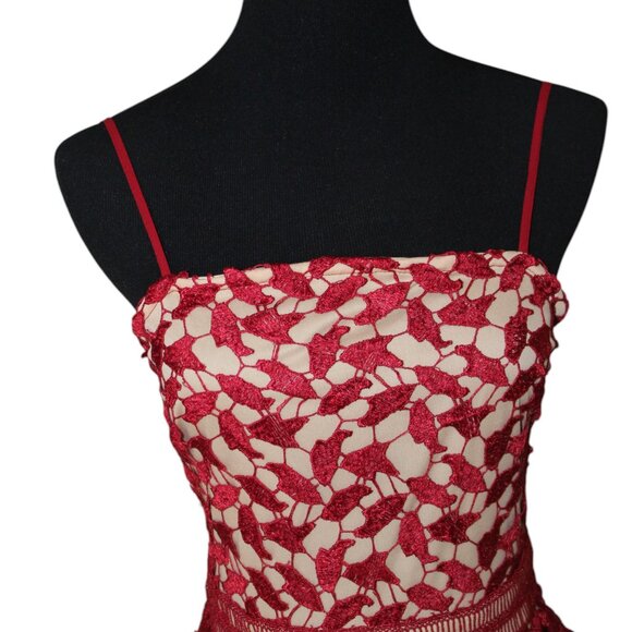 Boohoo Berry Red Corded Lace Midi SKATER Dress Size 8 NWT's HOLIDAY! - Picture 4 of 16